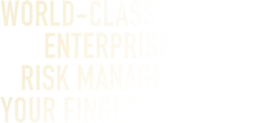World-Class Enterprise Level Risk Management At Your Fingertips.